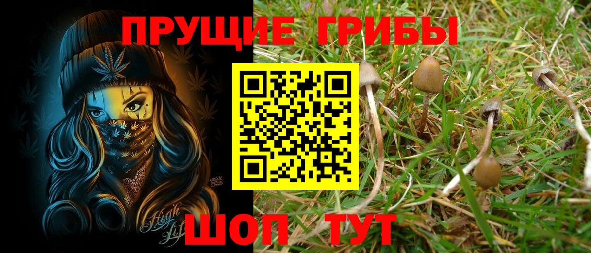 Качканар  Псилоцибиновые грибы мицелий  где купить   Вход с VPN 