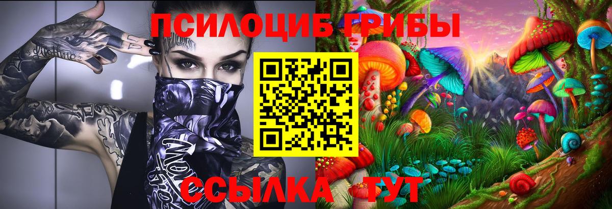 Псилоцибиновые грибы прущие грибы Качканар